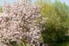 lingepracht_053_small.jpg