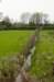 lingepracht_054_small.jpg