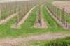 lingepracht_055_small.jpg