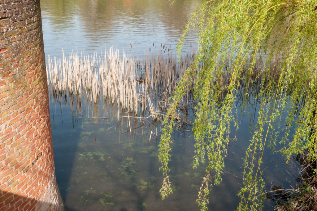 lingepracht_059.jpg