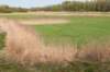 lingepracht_063_small.jpg