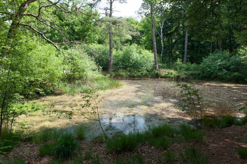 leersum_001.jpg