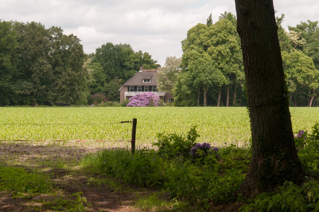 leersum_003.jpg