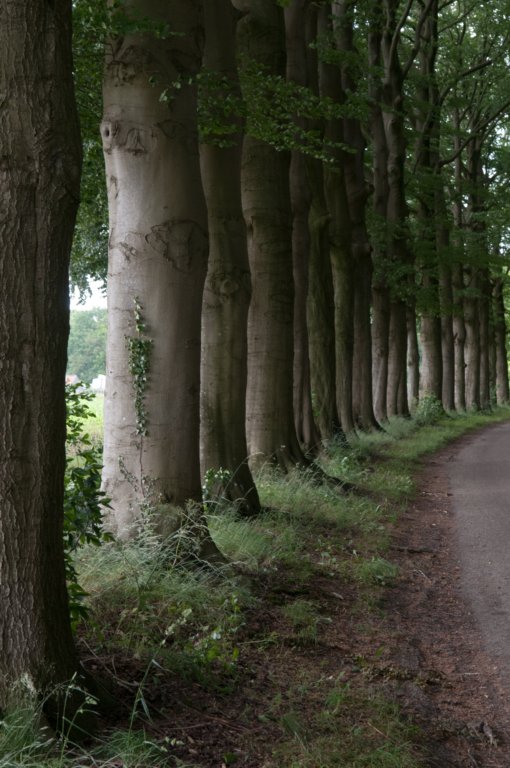 leersum_005.jpg