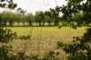 leersum_015_small.jpg