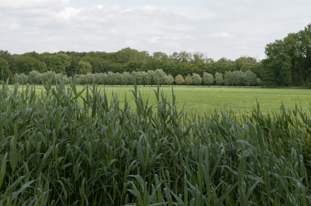 leersum_022.jpg