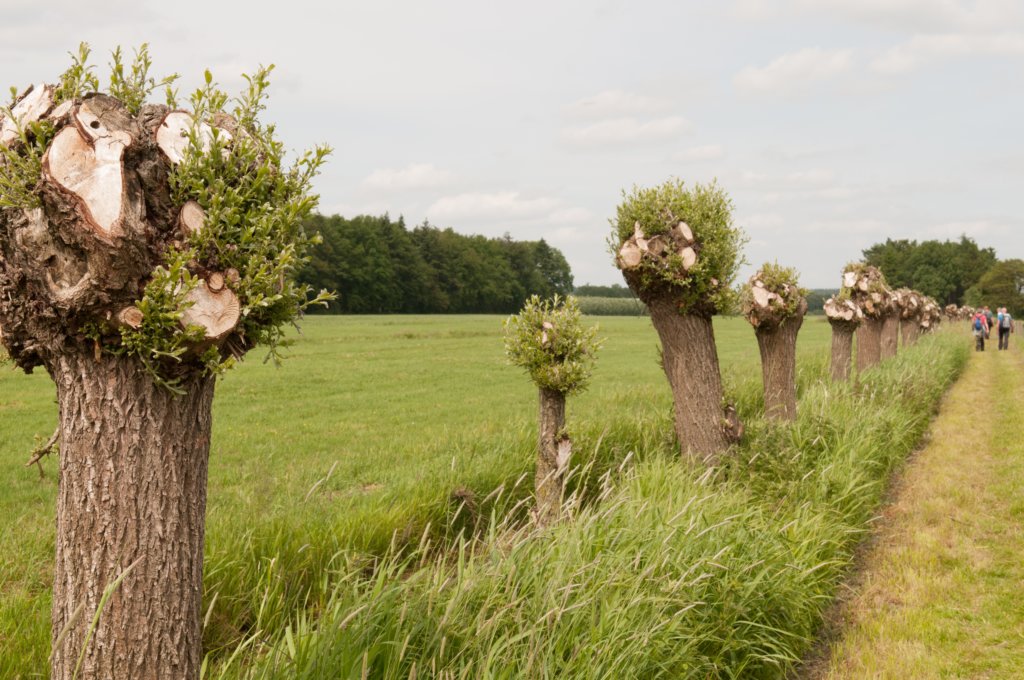 leersum_029.jpg