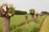 leersum_029_small.jpg