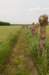 leersum_031_small.jpg