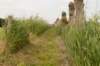 leersum_032_small.jpg