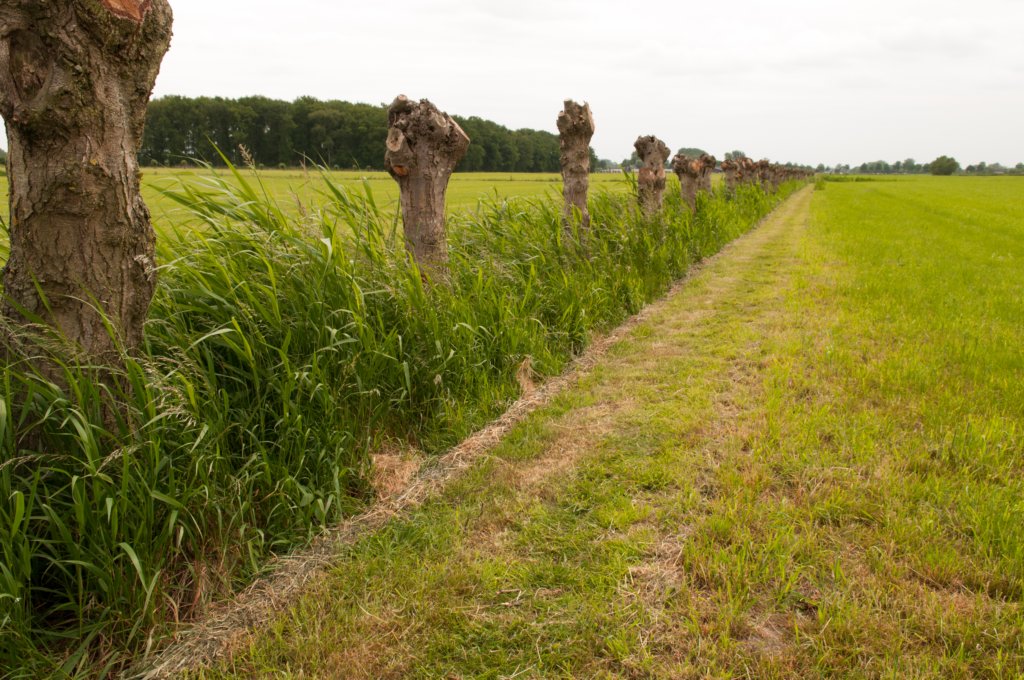 leersum_034.jpg