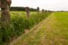 leersum_034_small.jpg