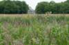leersum_040_small.jpg