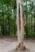 leersumscheveld_001_small.jpg