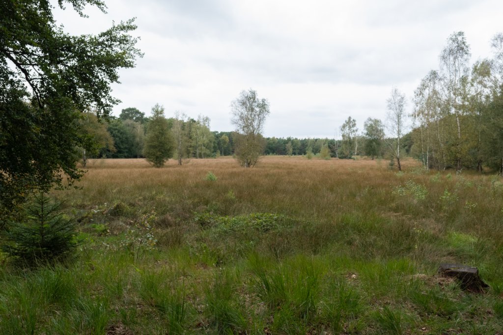 leersumscheveld_007.jpg