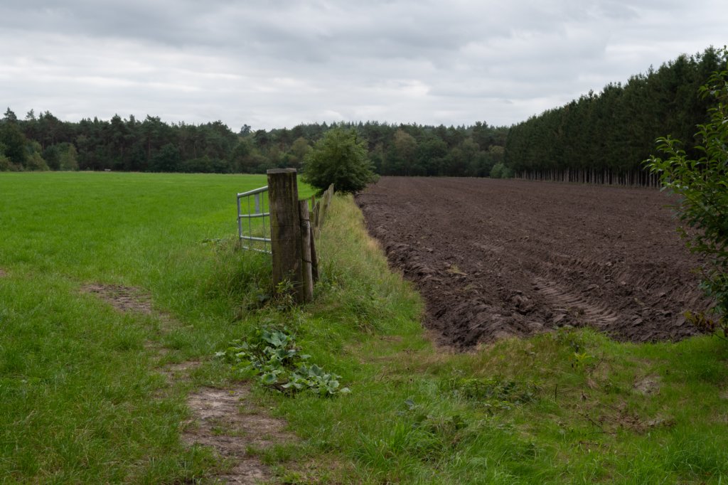 leersumscheveld_018.jpg