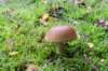 leersumscheveld_020_small.jpg