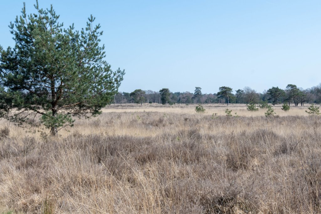 leersumseveld2_005.jpg