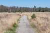 leersumseveld2_006_small.jpg