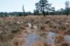 leersumseveld2_011_small.jpg