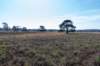 leersumseveld2_020_small.jpg