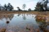 leersumseveld2_025_small.jpg