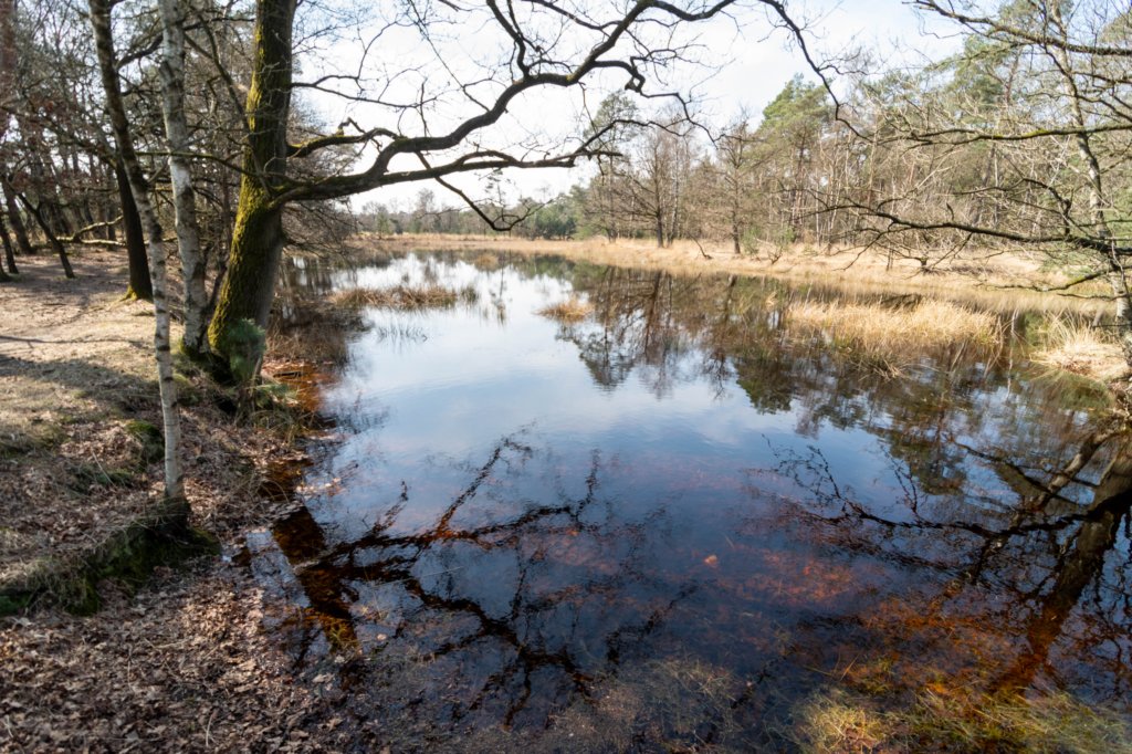 leersumseveld2_026.jpg