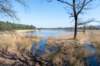 leersumseveld2_027_small.jpg