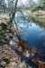 leersumseveld2_029_small.jpg