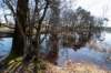 leersumseveld2_031_small.jpg