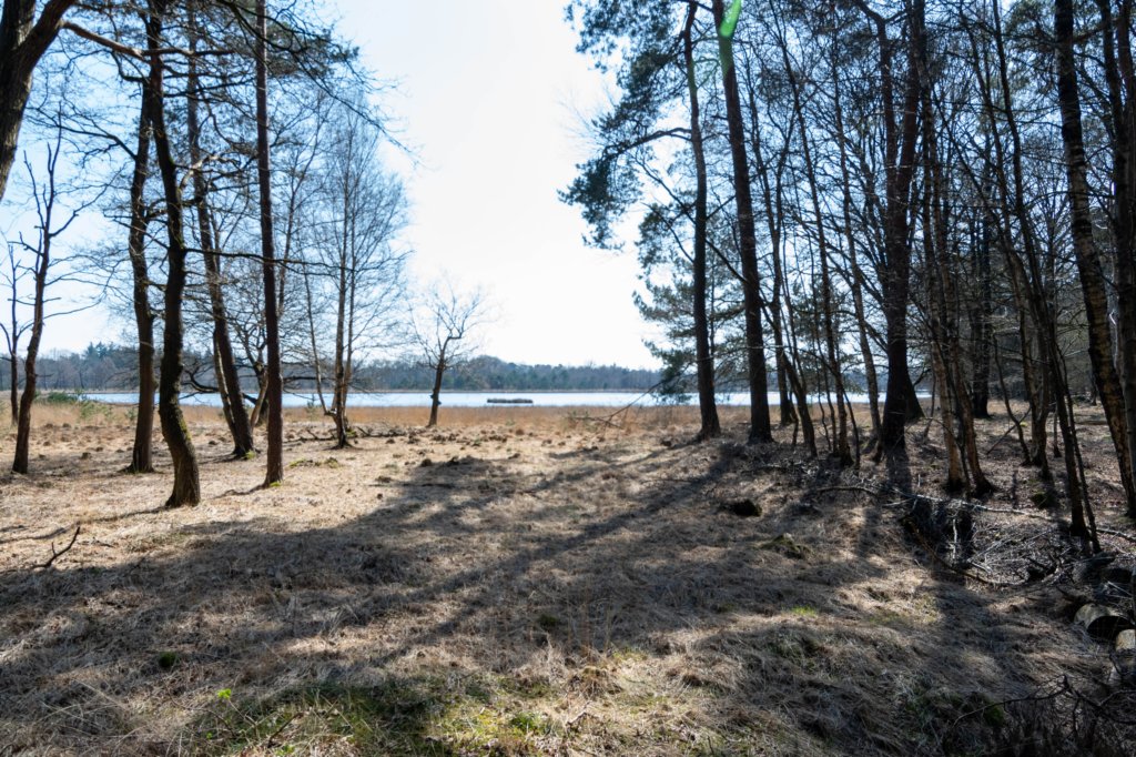 leersumseveld2_033.jpg