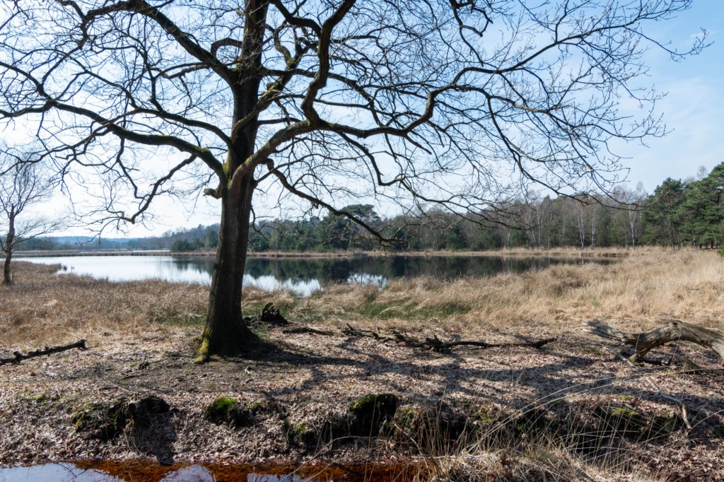 leersumseveld2_035.jpg