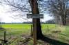 leersumseveld2_036_small.jpg