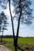 leersumseveld2_037_small.jpg