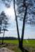 leersumseveld2_038_small.jpg