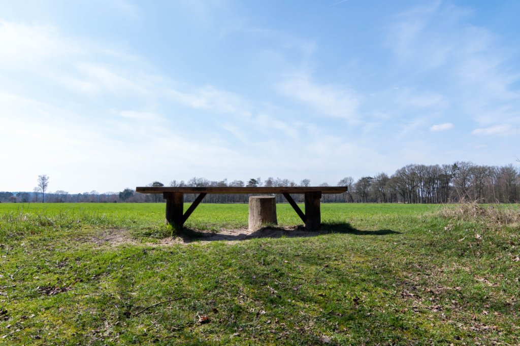 leersumseveld2_039.jpg