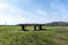 leersumseveld2_039_small.jpg