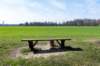 leersumseveld2_040_small.jpg