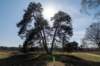 leersumseveld2_041_small.jpg
