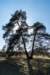 leersumseveld2_042_small.jpg