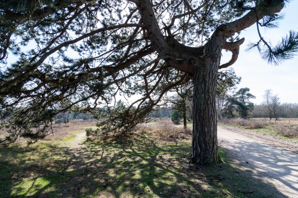leersumseveld2_043.jpg