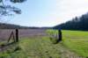leersumseveld2_044_small.jpg