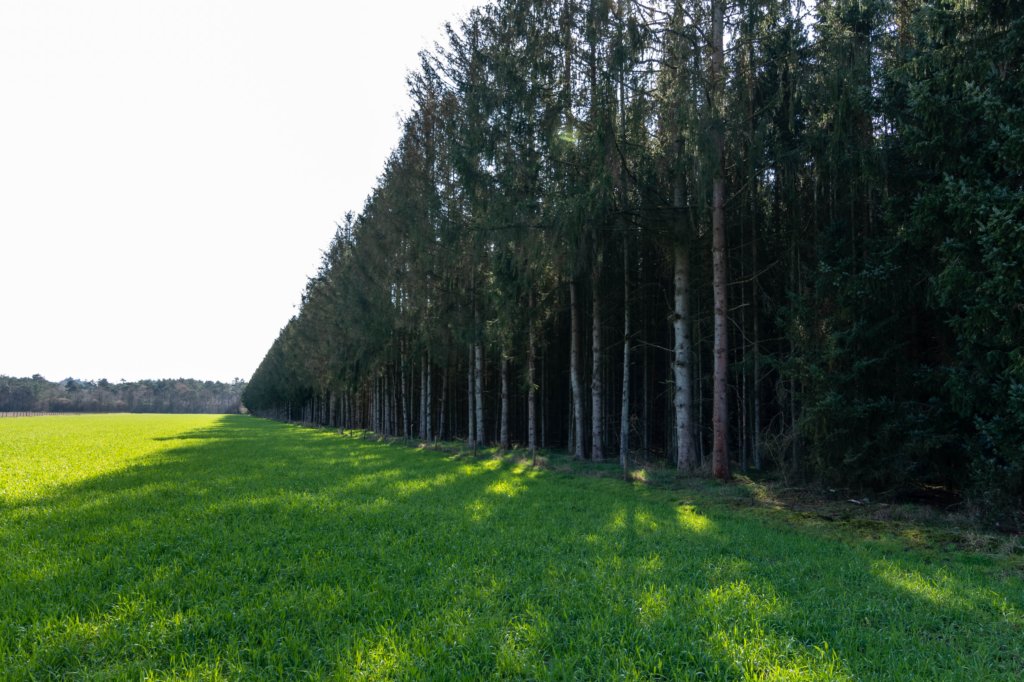 leersumseveld2_045.jpg