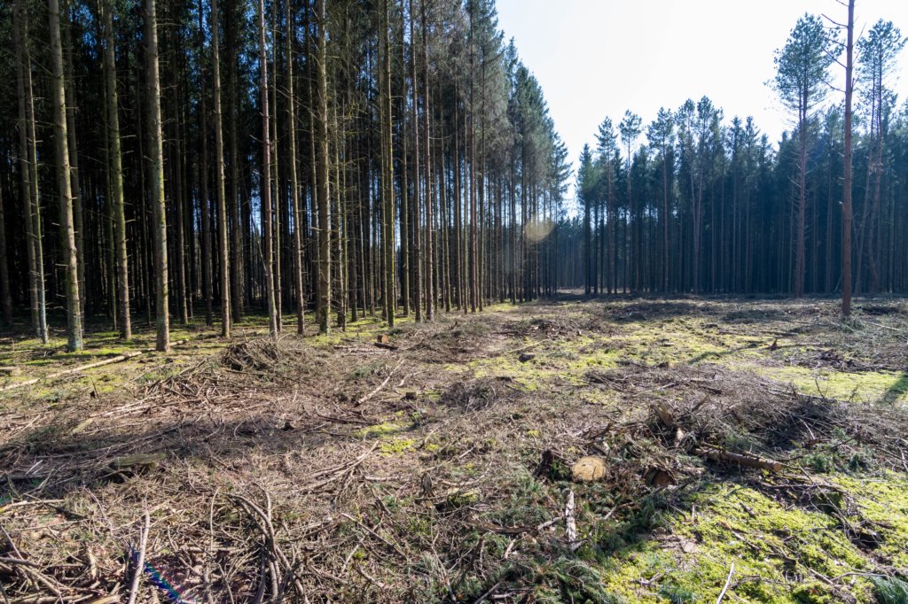 leersumseveld2_047.jpg