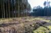 leersumseveld2_047_small.jpg