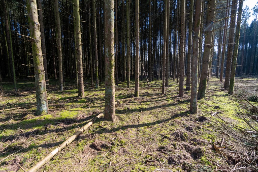 leersumseveld2_048.jpg