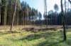 leersumseveld2_049_small.jpg