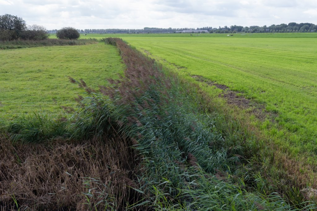 liniepadabcoude_006.jpg