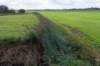 liniepadabcoude_006_small.jpg