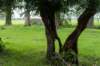liniepadabcoude_018_small.jpg